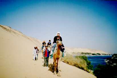on camel on Elephantine Island - click to enlarge