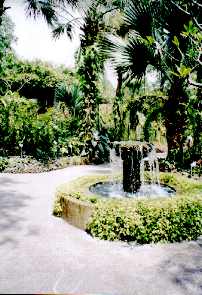 Orchid Gardens - click to enlarge